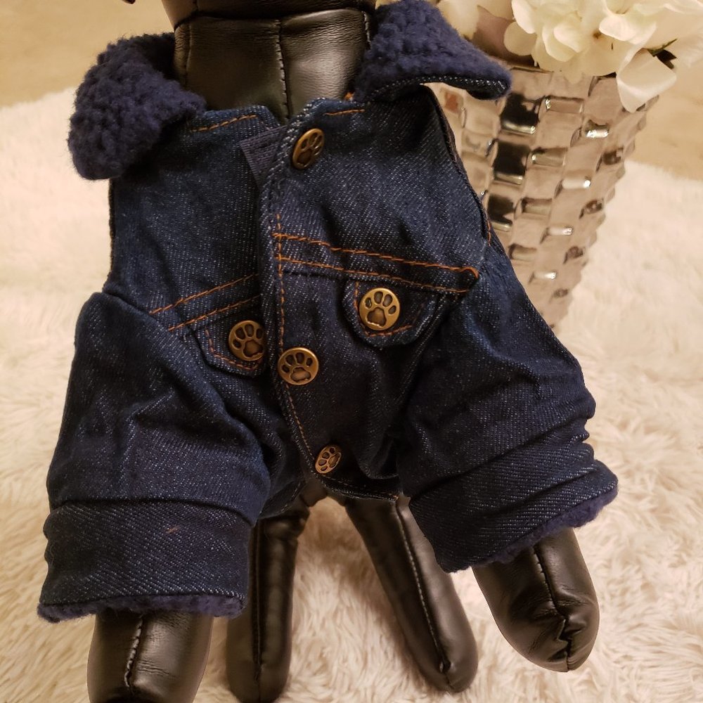 Denim Jacket - Picture 4 of 5